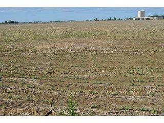 Property photo 11 - FARM & LAND AUCTION - 125+/- ACRES OFFERED IN 5 TRACTS IN EAST ALLEN COUNTY, INDIANA